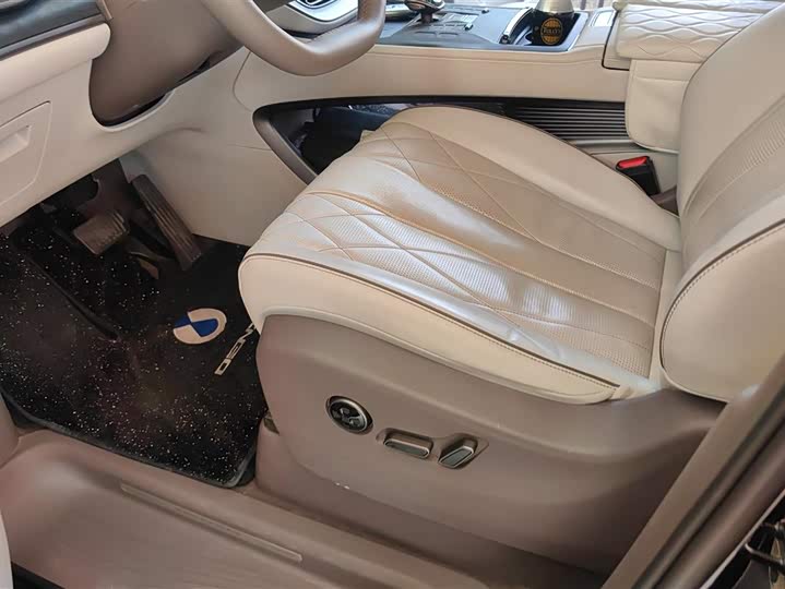 Фото 9 - Denza D9