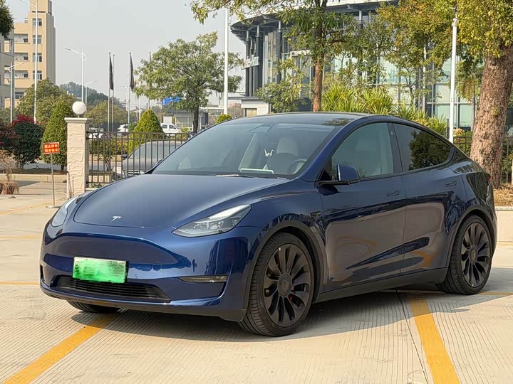 Фото 1 - Tesla Model Y