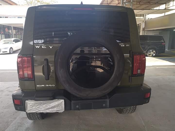 Фото 6 - Tank 300