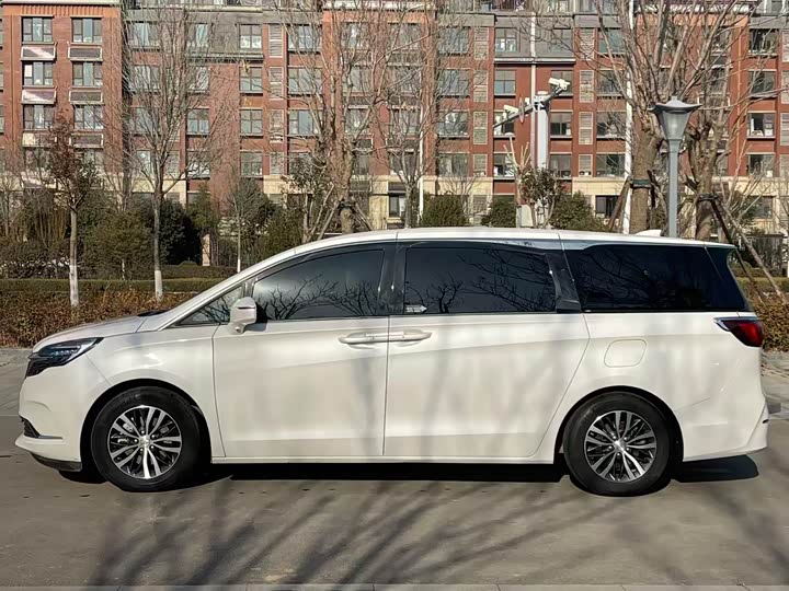 Фото 4 - Buick GL8 ES