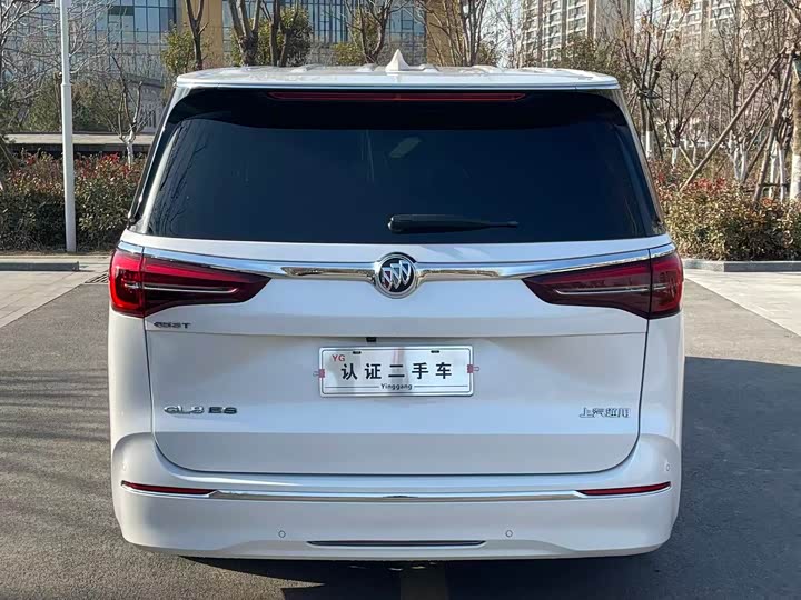 Фото 5 - Buick GL8 ES