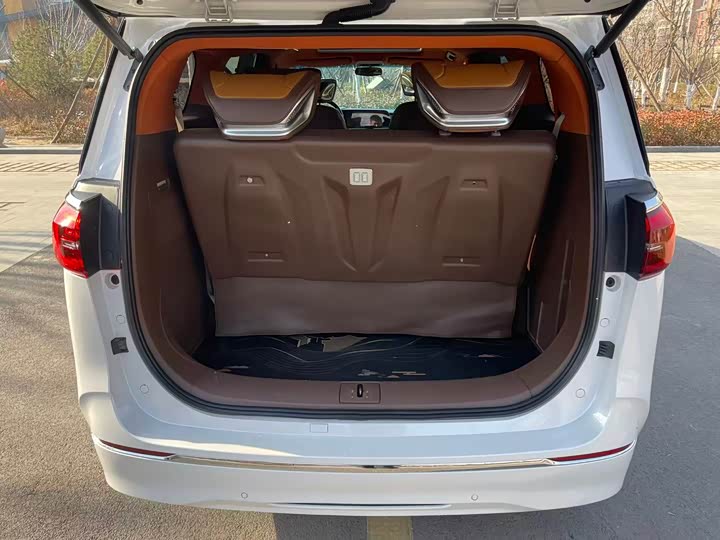 Фото 8 - Buick GL8 ES