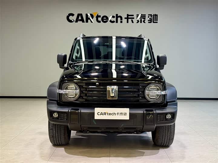 Фото 3 - Tank 300