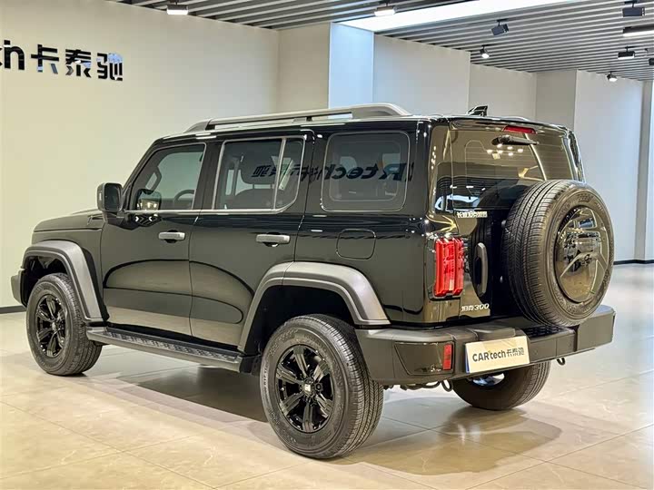 Фото 6 - Tank 300