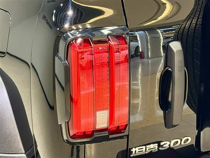 Фото 9 - Tank 300