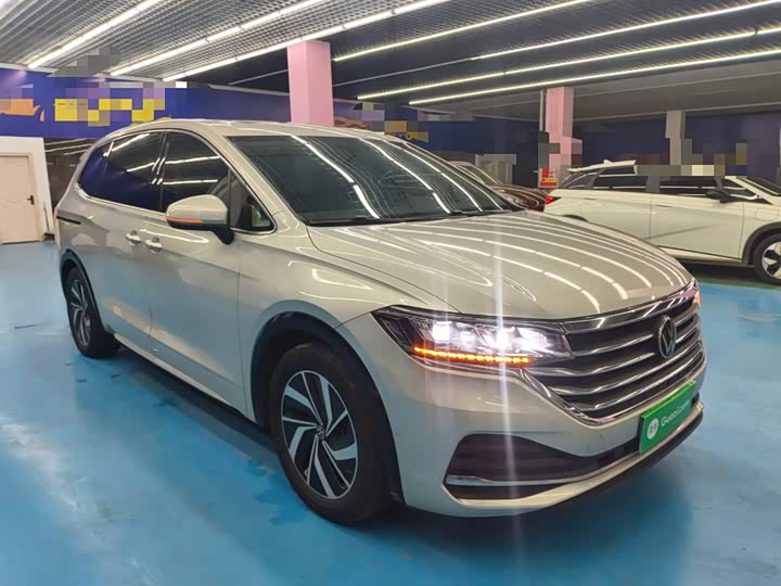 Фото 4 - Volkswagen Viloran