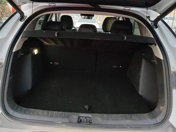 Фото 4 - BYD Yuan Plus