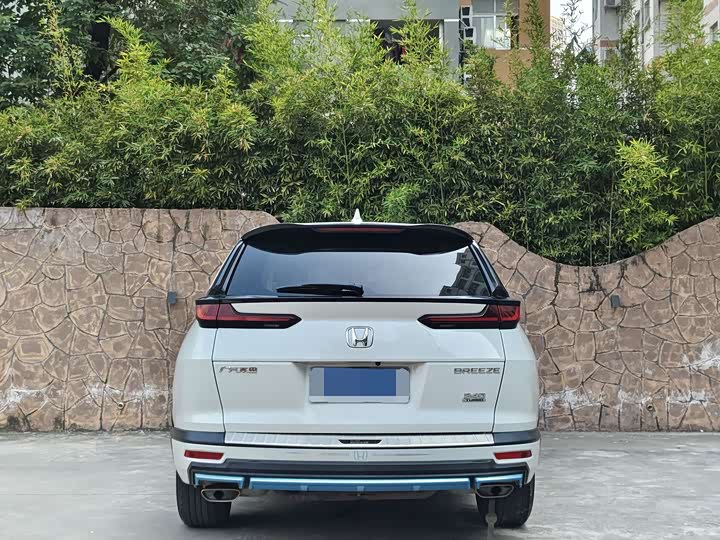 Фото 5 - Honda Breeze
