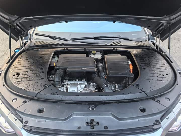 Фото 8 - BYD Han