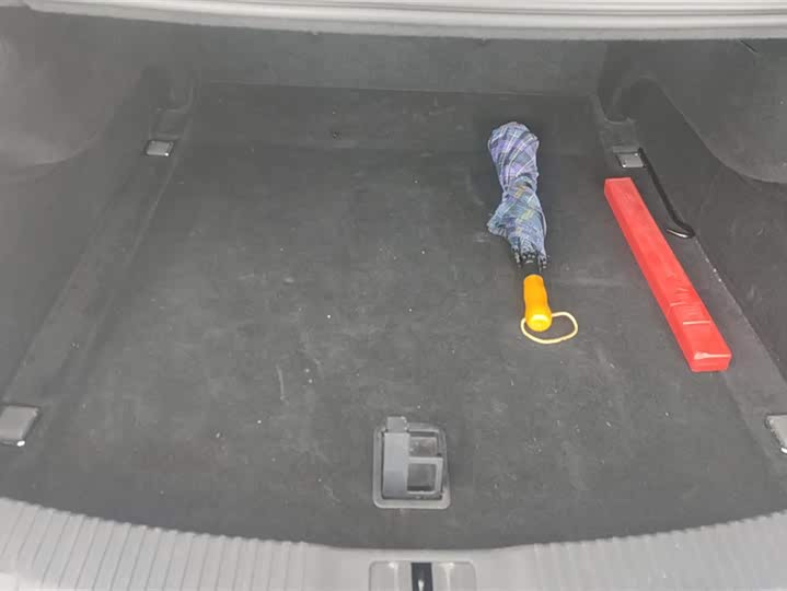 Фото 4 - Hongqi H9