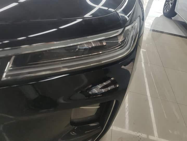 Фото 5 - Hongqi H9