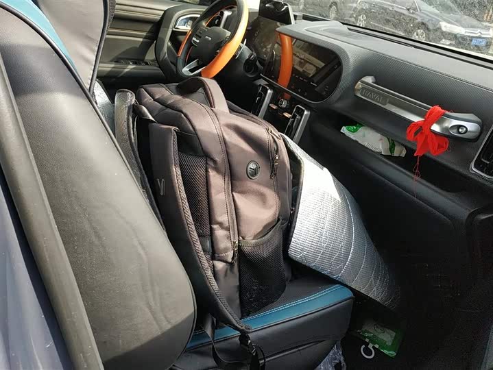 Фото 4 - Haval Dargo