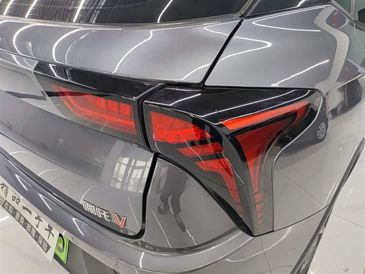 Фото 8 - Hozon V