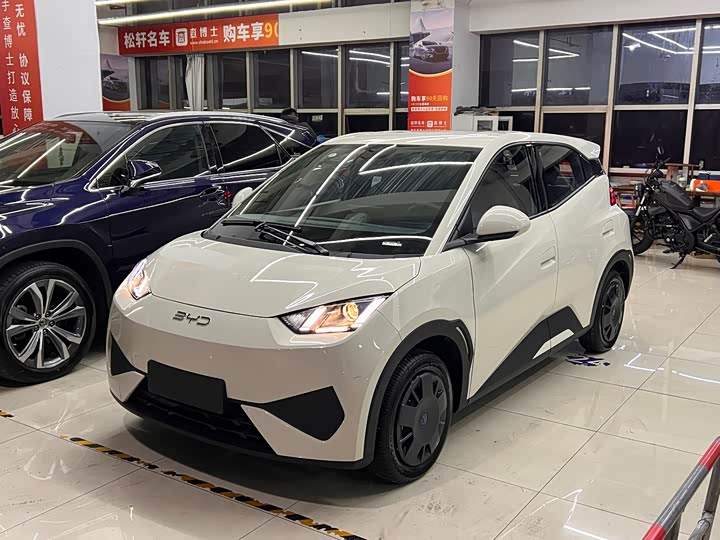 Фото 1 - BYD Seagull