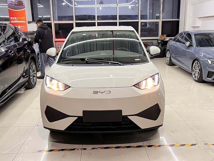 Фото 2 - BYD Seagull