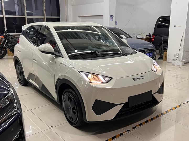 Фото 3 - BYD Seagull