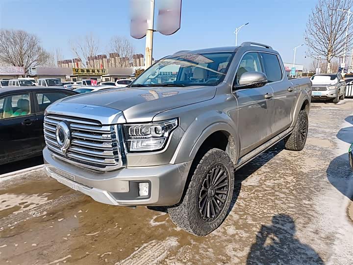 Фото 2 - Great Wall Shanhai Poer