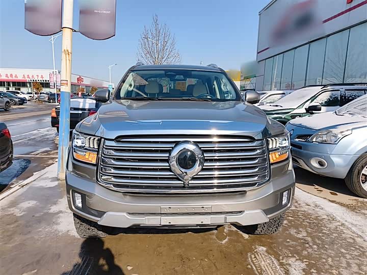 Фото 3 - Great Wall Shanhai Poer