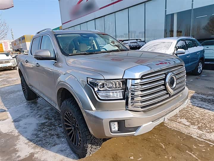 Фото 4 - Great Wall Shanhai Poer