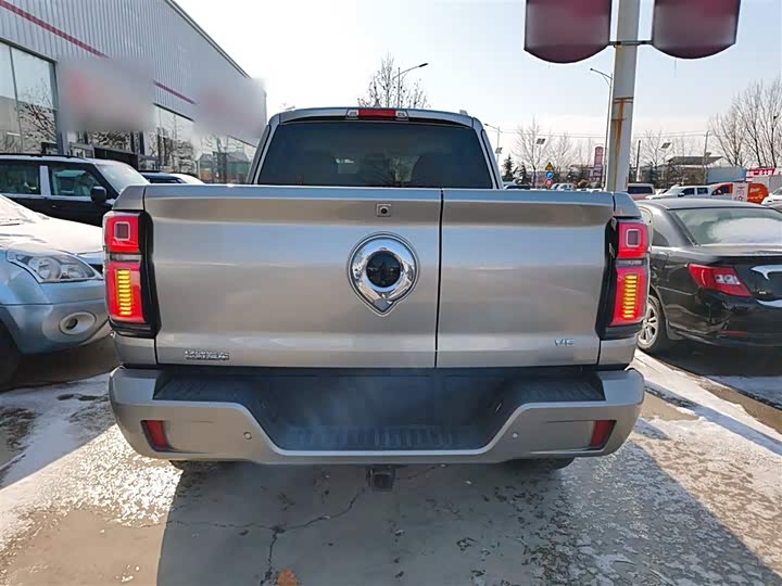 Фото 6 - Great Wall Shanhai Poer