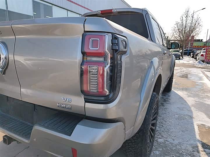 Фото 8 - Great Wall Shanhai Poer