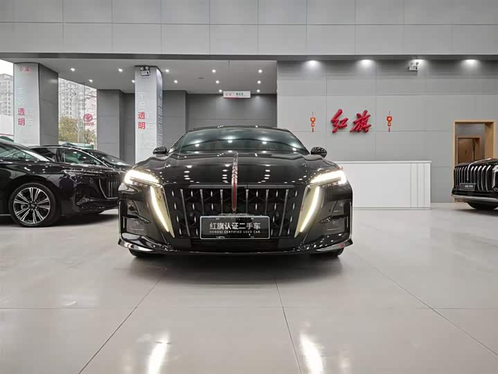 Фото 2 - Hongqi H6