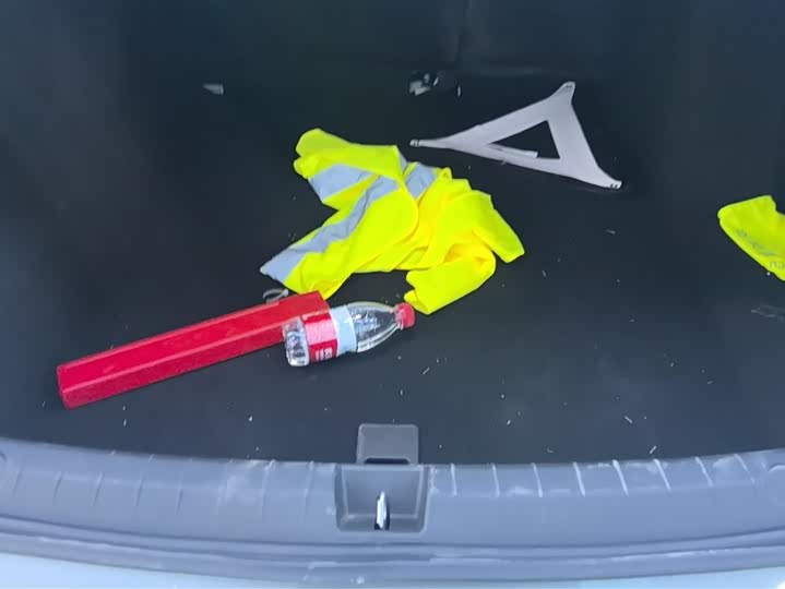 Фото 4 - BYD Qin Plus