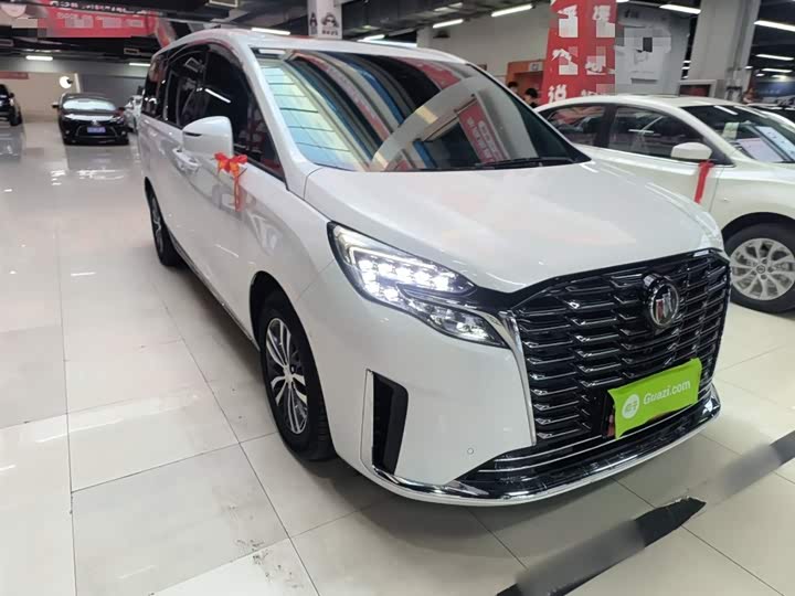 Фото 4 - Buick GL8 ES