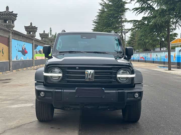 Фото 2 - Tank 300