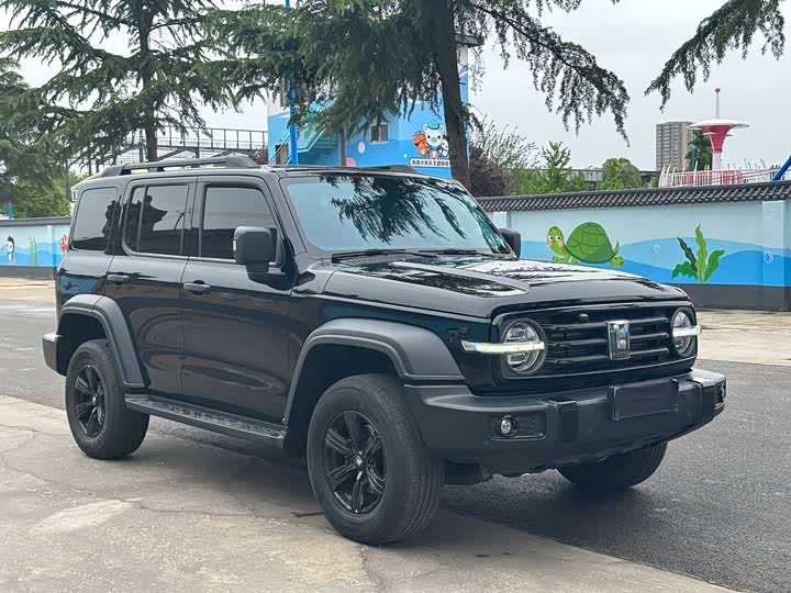 Фото 3 - Tank 300