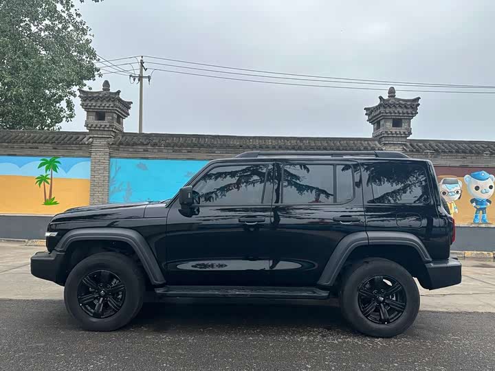 Фото 4 - Tank 300