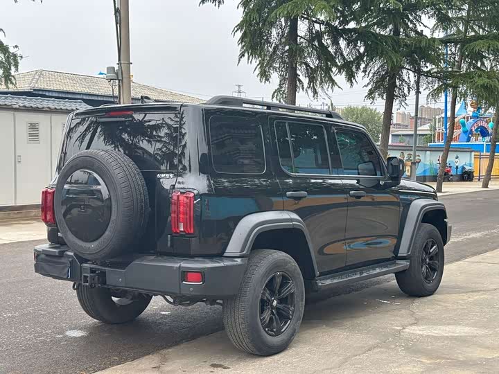 Фото 6 - Tank 300