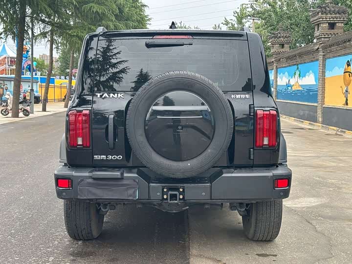 Фото 7 - Tank 300