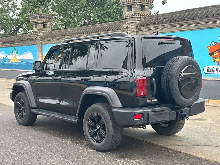 Фото 8 - Tank 300