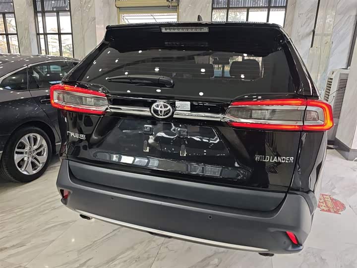Фото 6 - Toyota Wildlander