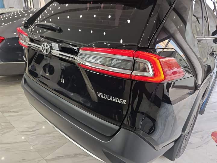 Фото 8 - Toyota Wildlander