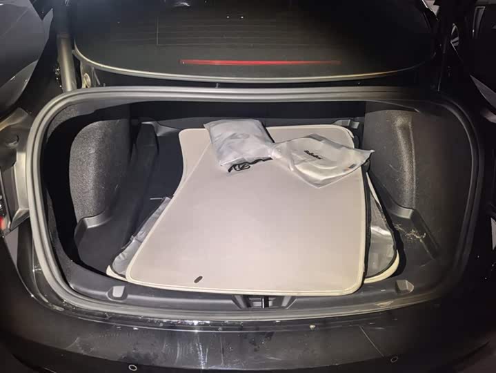 Фото 4 - Tesla Model 3