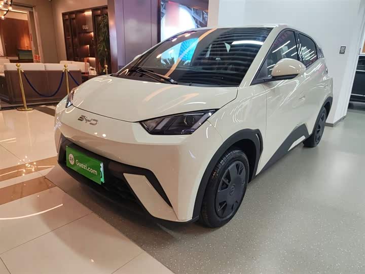 Фото 2 - BYD Seagull