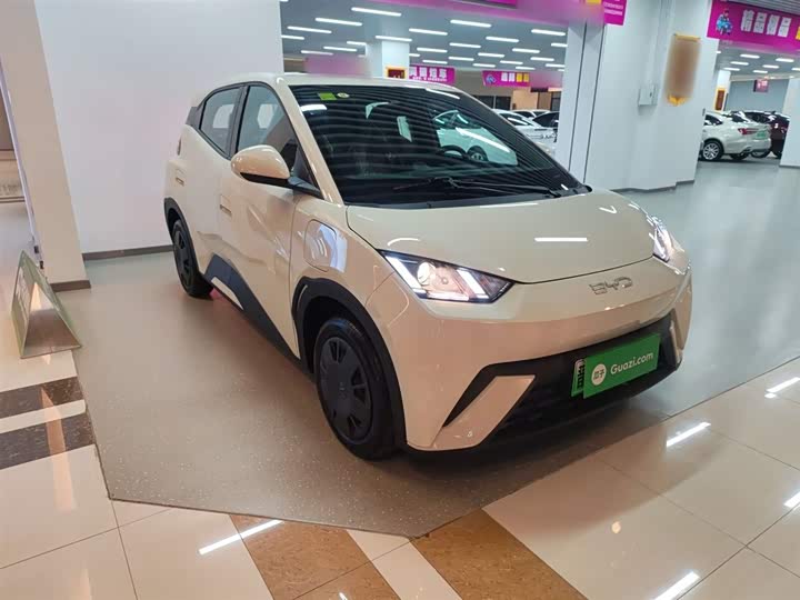 Фото 4 - BYD Seagull