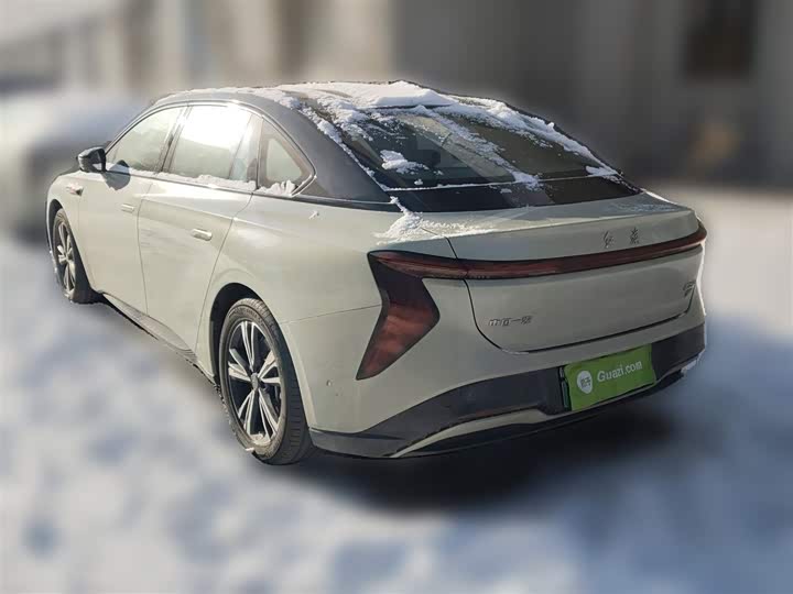 Фото 9 - Hongqi EH7