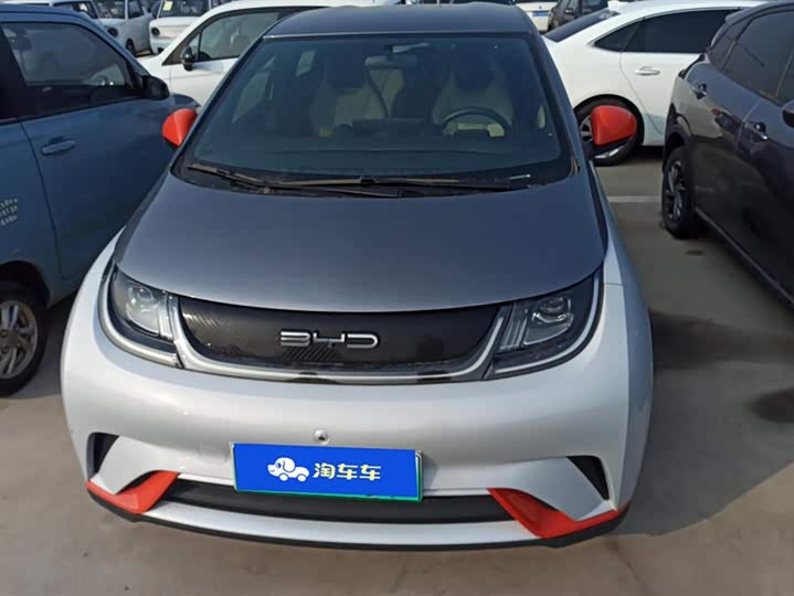 Фото 2 - BYD Dolphin