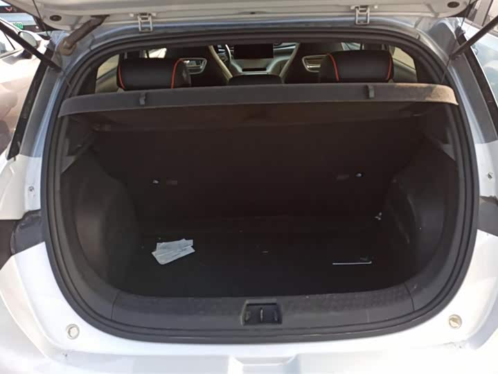 Фото 4 - BYD Dolphin