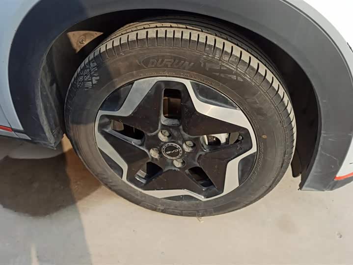 Фото 6 - BYD Dolphin