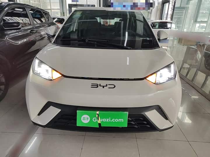 Фото 3 - BYD Seagull