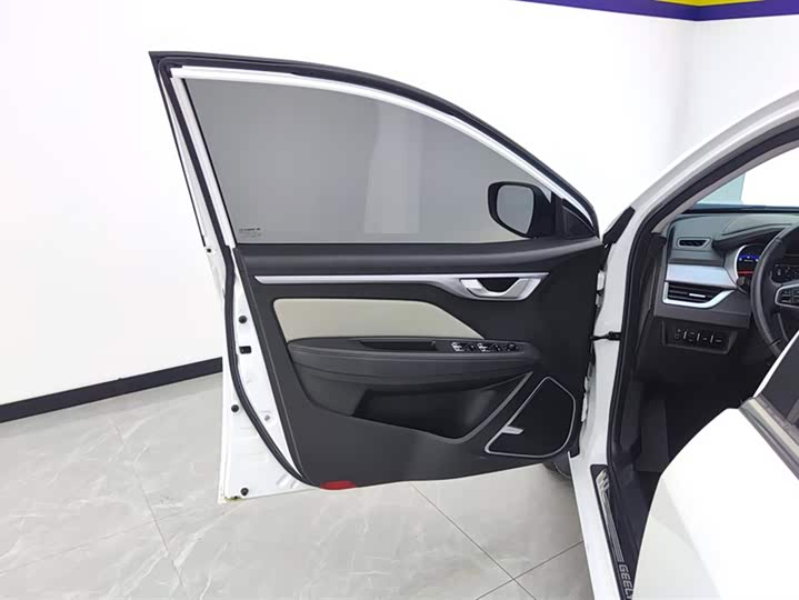 Фото 7 - Geely Vision