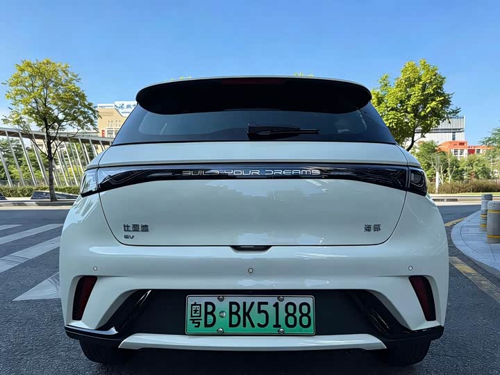 Фото 3 - BYD Dolphin