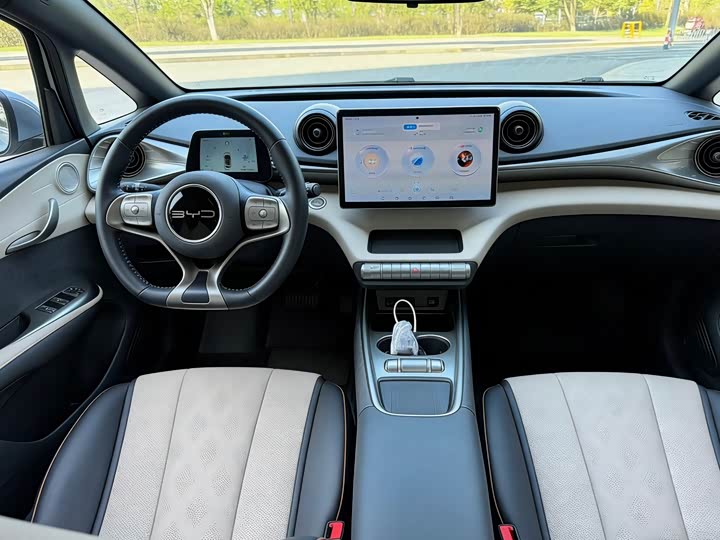 Фото 4 - BYD Dolphin