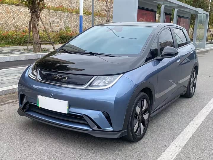 Фото 1 - BYD Dolphin