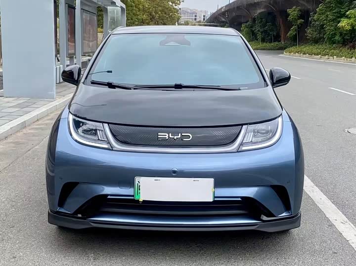 Фото 2 - BYD Dolphin