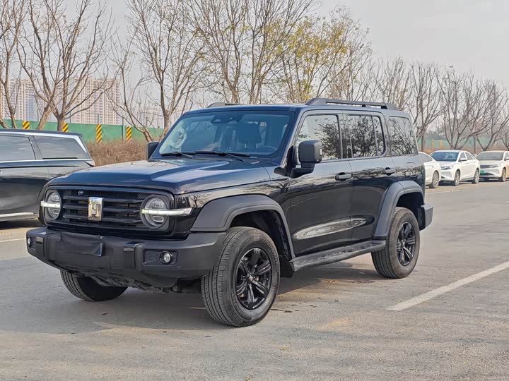 Фото 1 - Tank 300